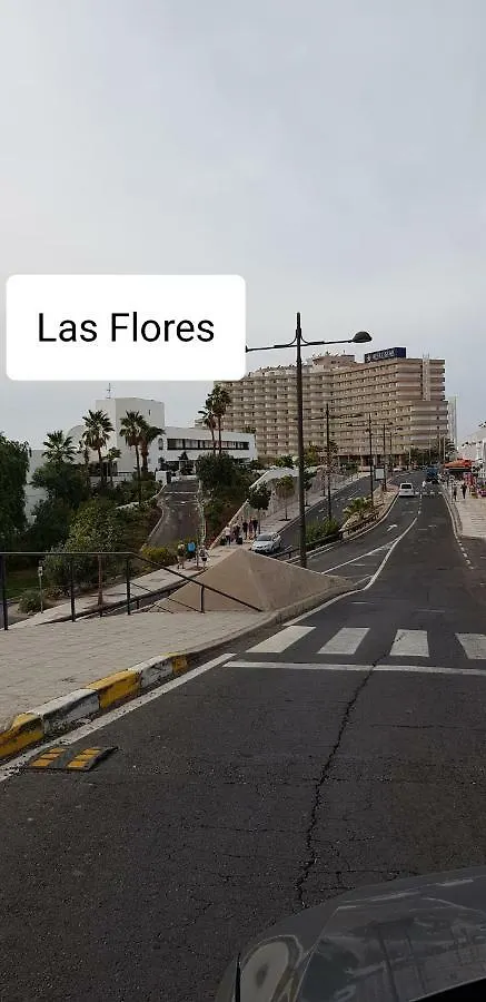 Style Apartment With Ocean View Playa de las Americas